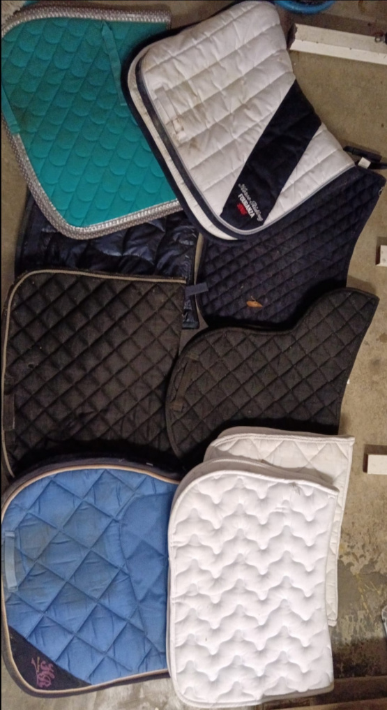 Lot tapis de selle *10 (cheval) occasion
