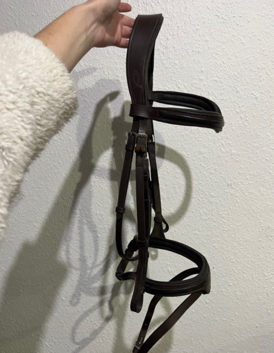 Filet / bridon cuir anatomique muserolle croisée (cheval) occasion