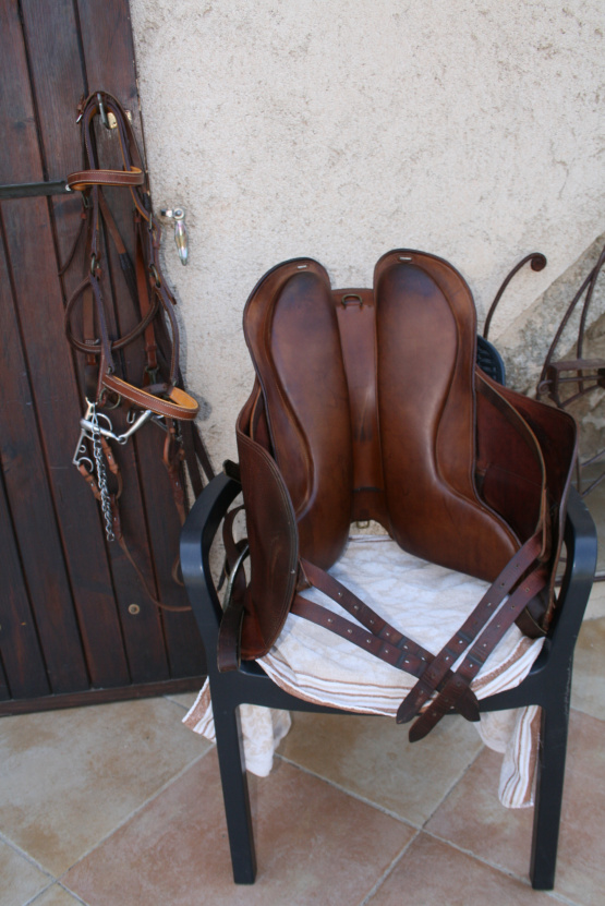 Selle Forestier Trec occasion