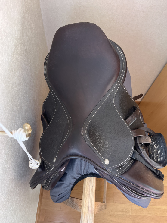 Selle mixte Privilège équitation occasion