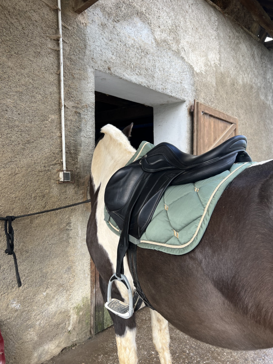 Selle Devoucoux Chiberta Lab (2021) occasion