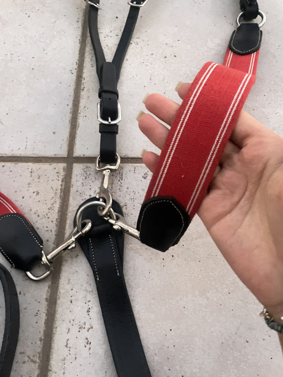 collier de chasse et  martingale occasion