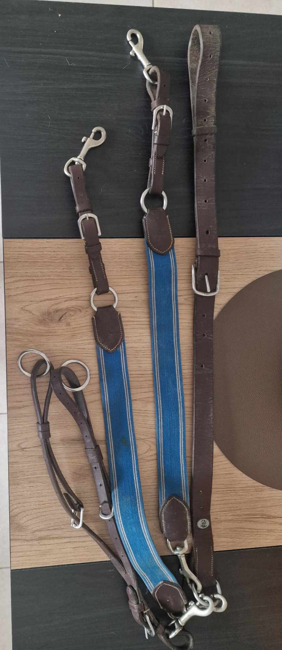 Collier de chasse martingale Privilège Équitation (cheval) occasion