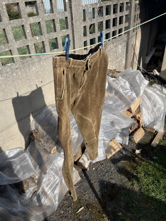 Pantalon équitation velours marron (40) occasion