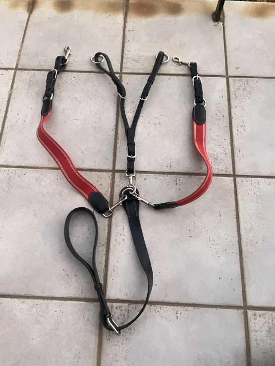 collier de chasse et  martingale occasion