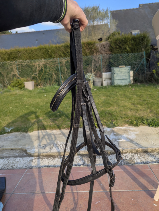 Filet cuir noir + rênes (cheval) occasion