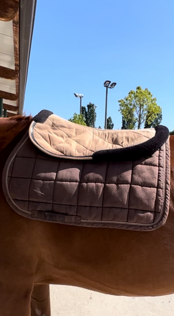 Tapis de selle & amortisseur Equithème marron occasion
