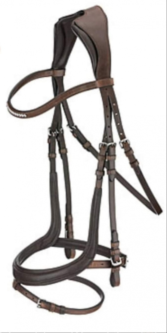 Filet anatomique Felix Bühler cuir (cheval) occasion