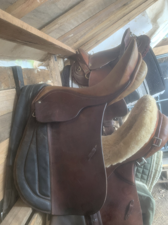 Selle dressage Hubertus occasion