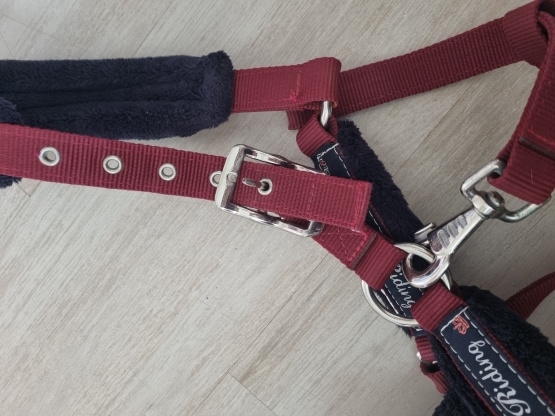 Licol Fouganza bordeaux (poney) occasion