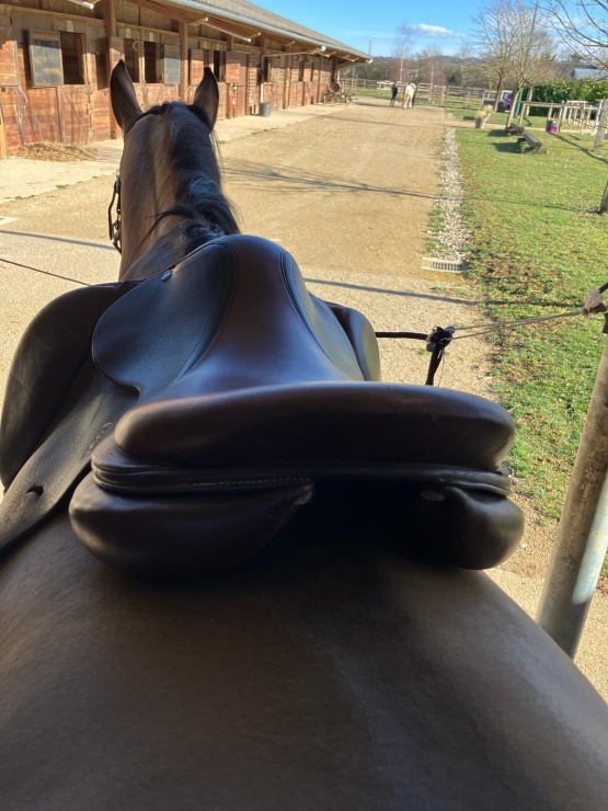Selle Antares Signature édition limitée 17 occasion