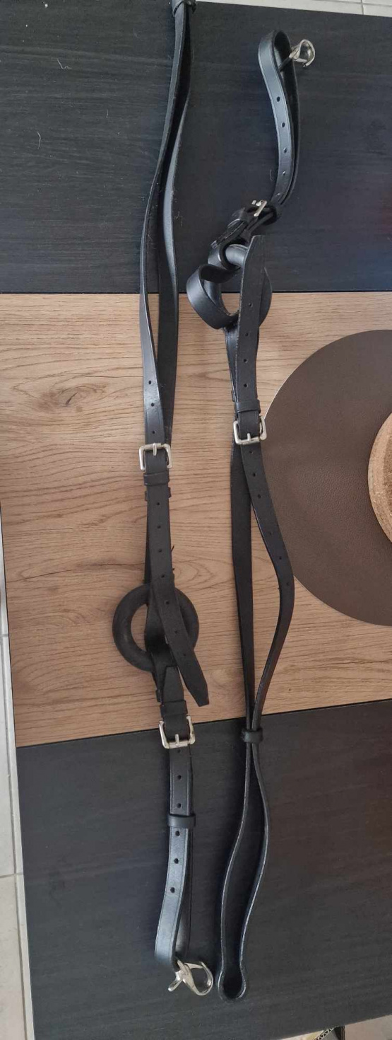 Martingale à anneaux occasion