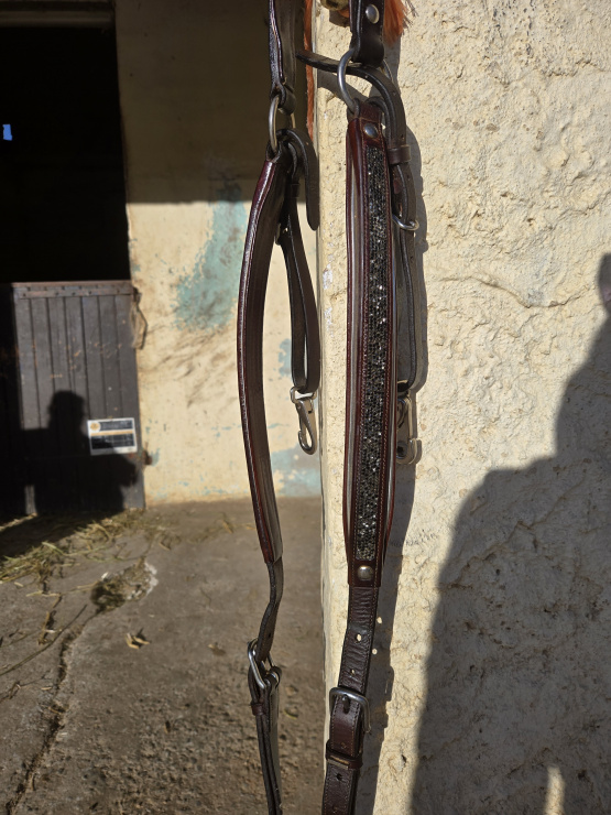 Collier de chasse martingale MY8 (cheval) occasion