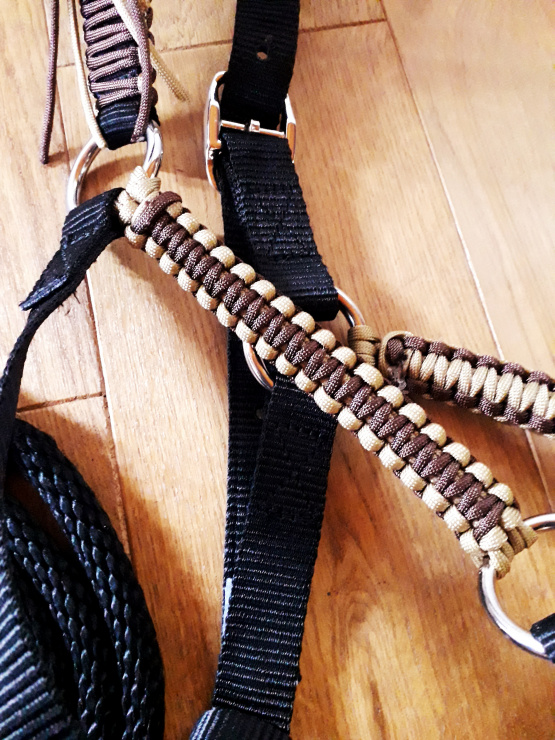 Licol et longe marron & noir (cheval) neuf occasion Licol et longe marron & noir (cheval) neuf occasion