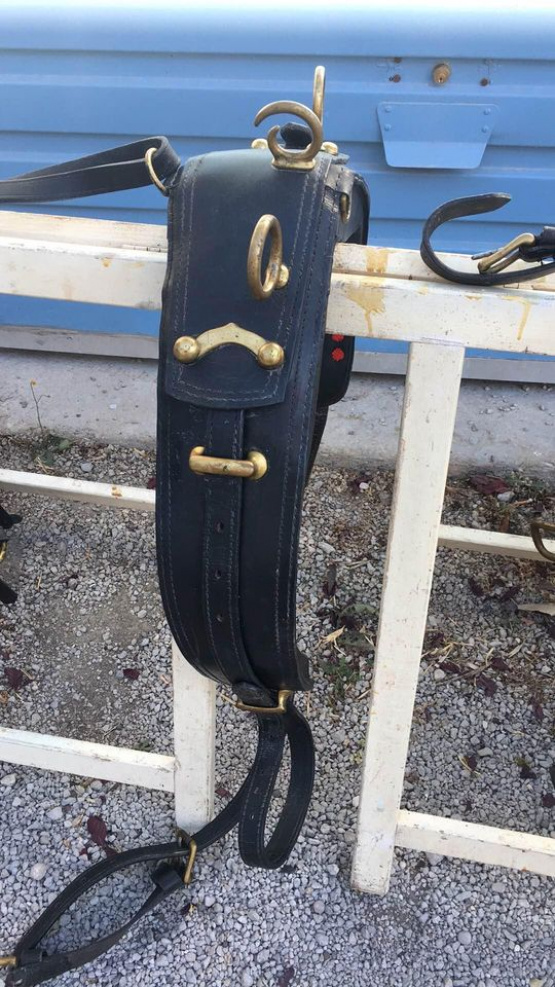 Harnais cuir attelage trait occasion