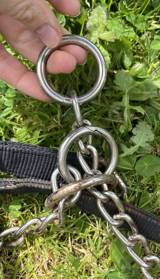 Licol de contrôle Eskadron (cheval) occasion