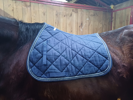 Tapis de selle Animarine bleu (cheval) occasion