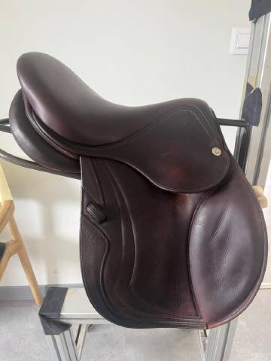 Selle obstacle CWD SE10 enfant 15.5 pouces (2023) occasion