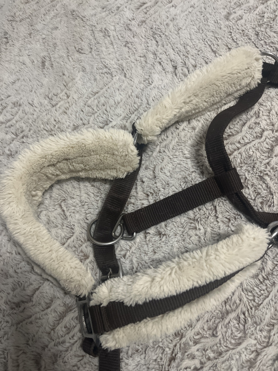 Licol Norton (cheval) occasion