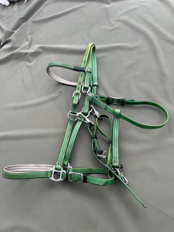 Filet / bride Norton synthétique vert (cheval) occasion