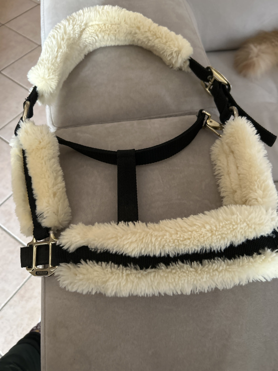 Licol Kentuky (cheval) occasion