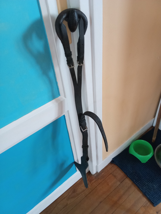 Croupiere cuir marron occasion Croupiere cuir marron occasion