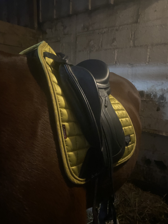 Selle de dressage Éric Thomas occasion