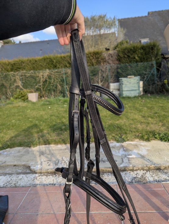 Filet cuir noir + rênes (cheval) occasion