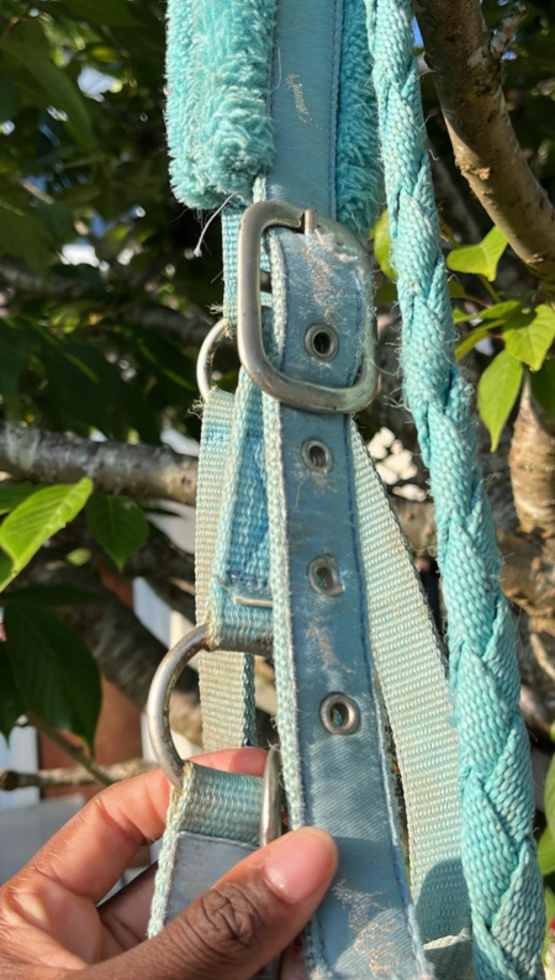 Licol turquoise (double poney) occasion