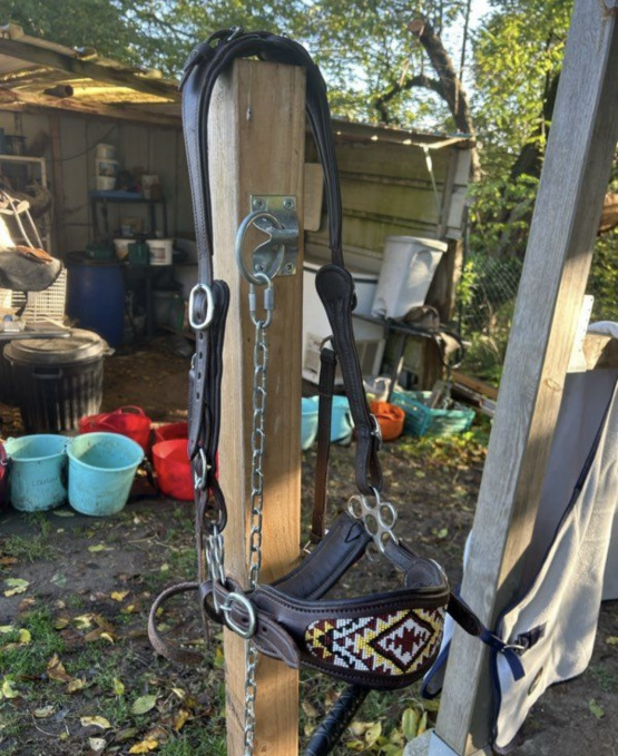 Hackamore Edix Saddles (cheval) neuf occasion Hackamore Edix Saddles (cheval) neuf occasion