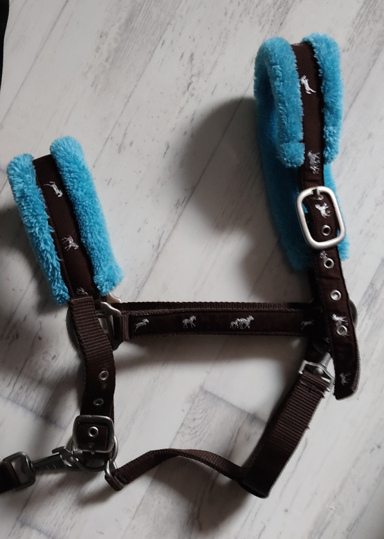 Licol & longe BR marron & bleu (cheval) occasion