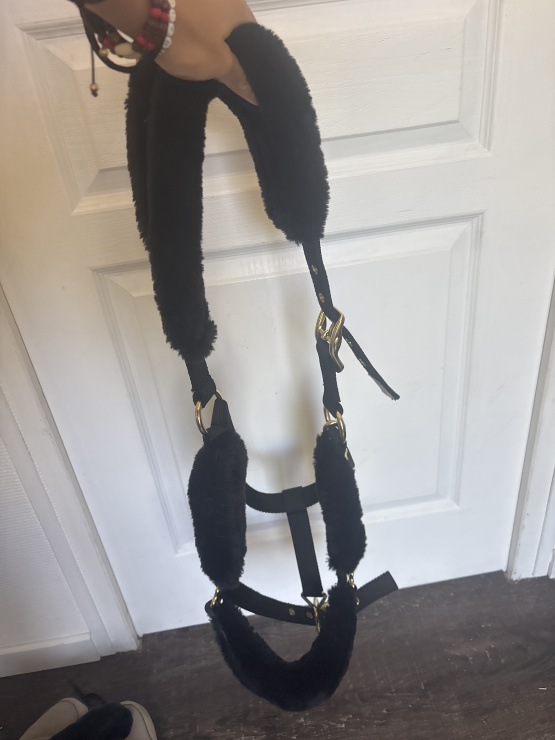 Licol moumoute sans longe (cheval) neuf occasion