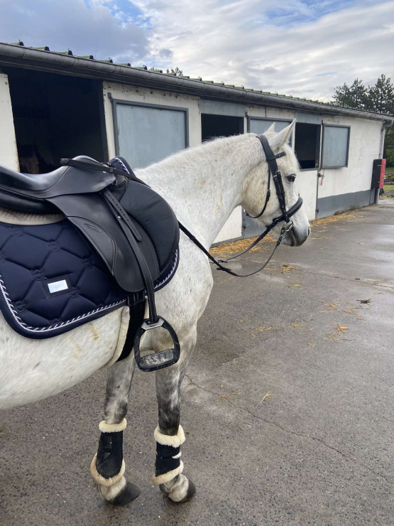 Tapis de selle Equestrian Stockolm bleu marine occasion