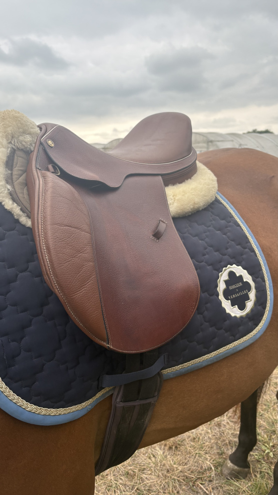 Selle mixte Equip’horse Olympic 17,5 pouces occasion