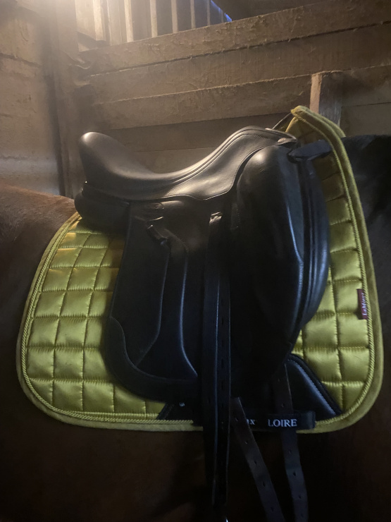 Selle de dressage Éric Thomas occasion