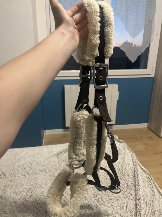 Licol Norton (cheval) occasion