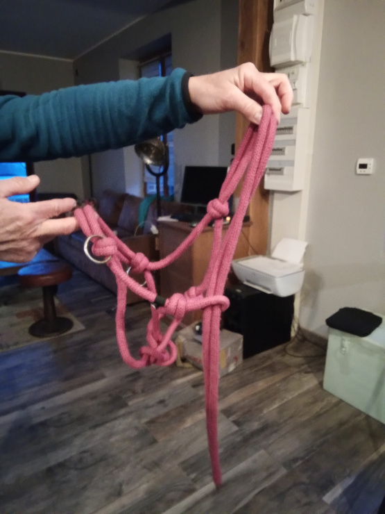 Licol éthologique QHP (poney) occasion