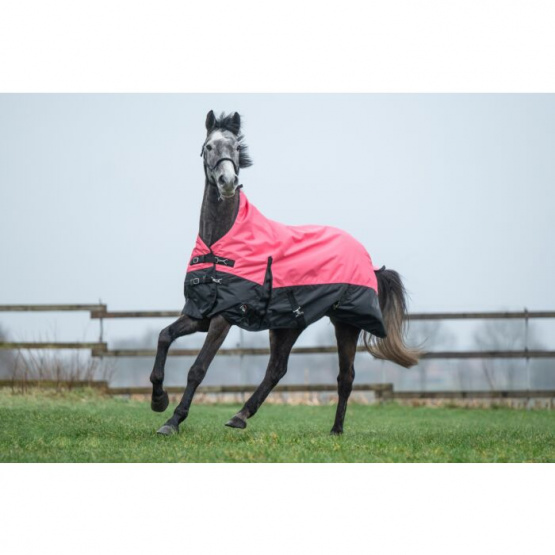 Couverture HKM highneck norwich 600d 145 cm (neuf) occasion