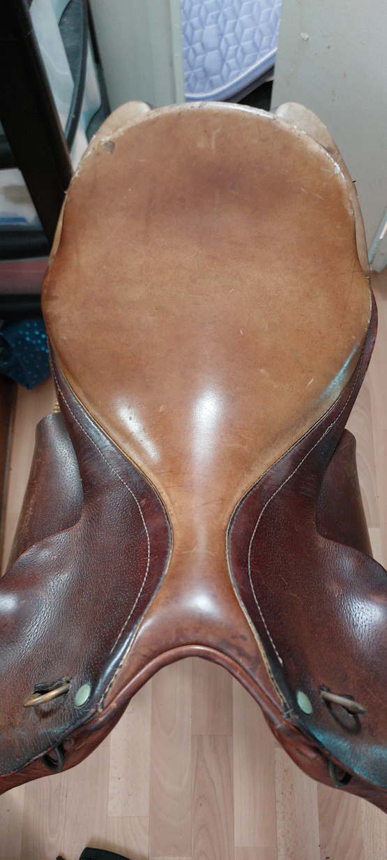 Selle Forestier Segonzac (2001) occasion