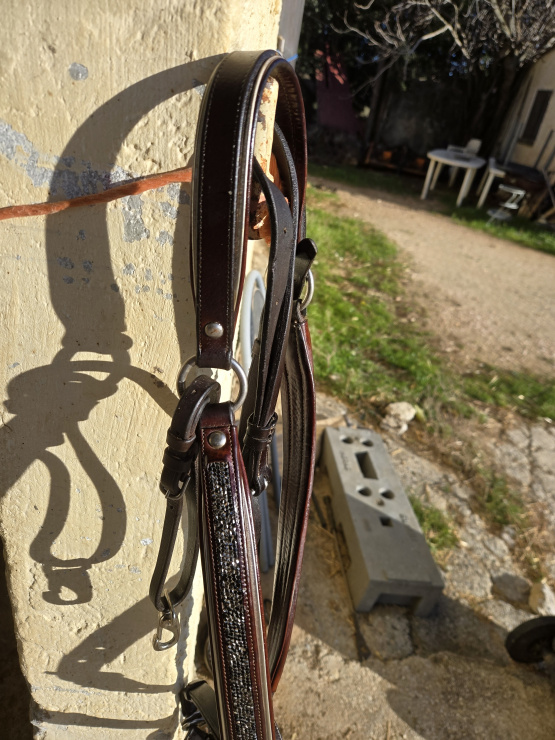Collier de chasse martingale MY8 (cheval) occasion