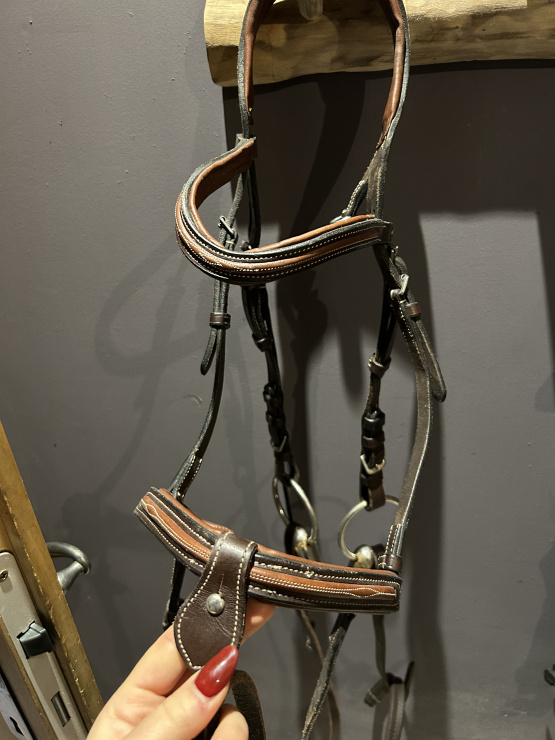 Filet Fouganza (poney) occasion