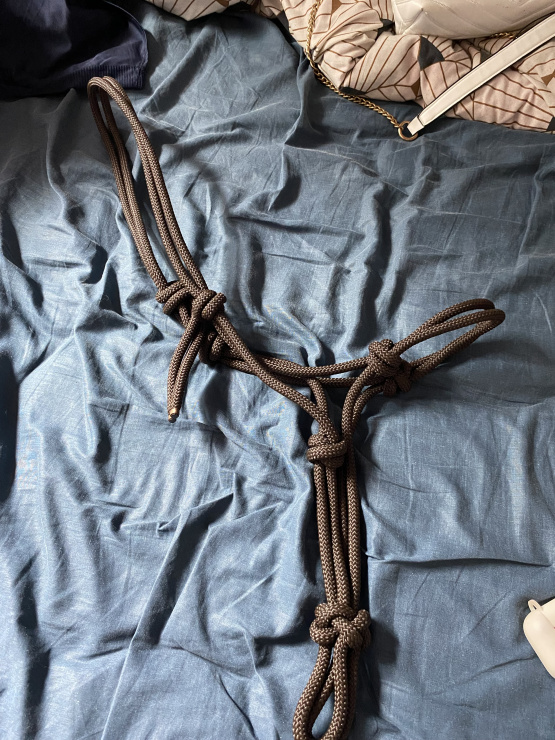 Licol éthologique Norton (Cheval) occasion