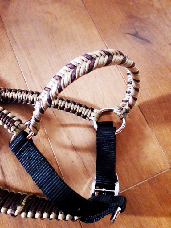 Licol et longe marron & noir (cheval) neuf occasion Licol et longe marron & noir (cheval) neuf occasion