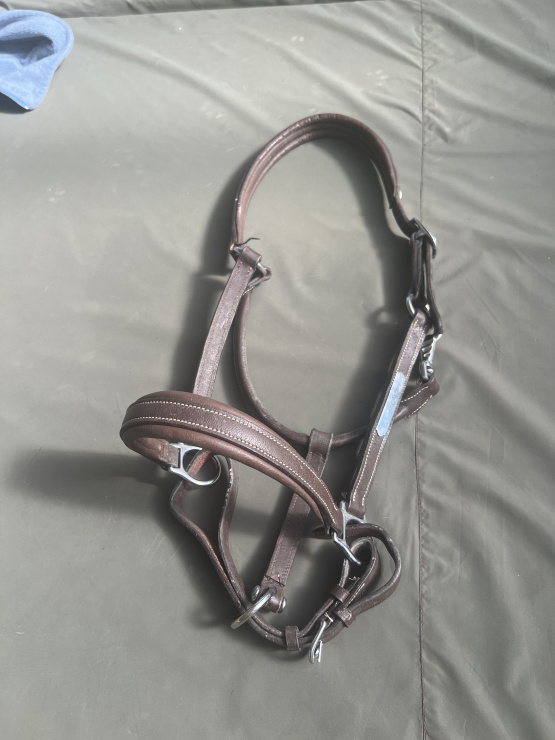Licol Norton cuir marron (cheval) occasion