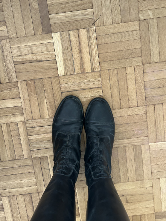 Bottes équitation Fellini cuir noir (38) occasion