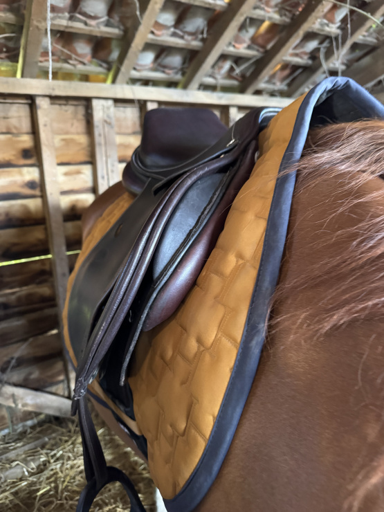 Selle mixte Privilège Equitation Lyon 17,5 pouces (2020) occasion