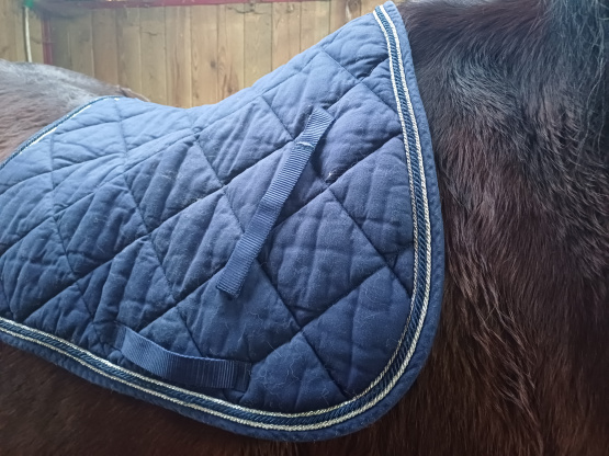 Tapis de selle Animarine bleu (cheval) occasion