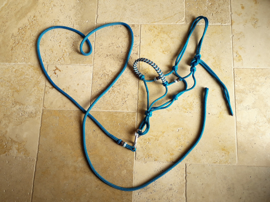 Licol éthologique & longe 3 m (pur sang) neuf occasion Licol éthologique & longe 3 m (pur sang) neuf occasion