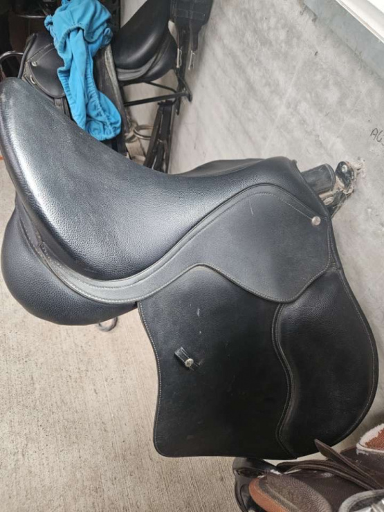 Selle mixte Wintec Hart 16,5 pouces (2024) occasion