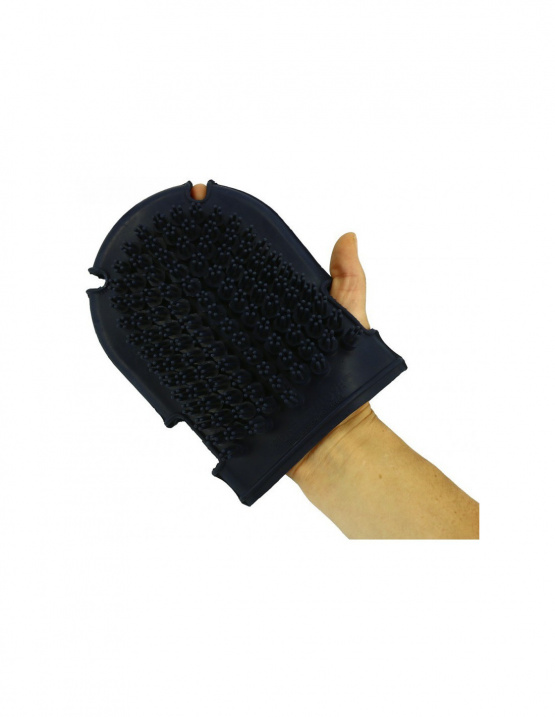 Gant étrille + brosse Hippotonic bleu (neuf) occasion